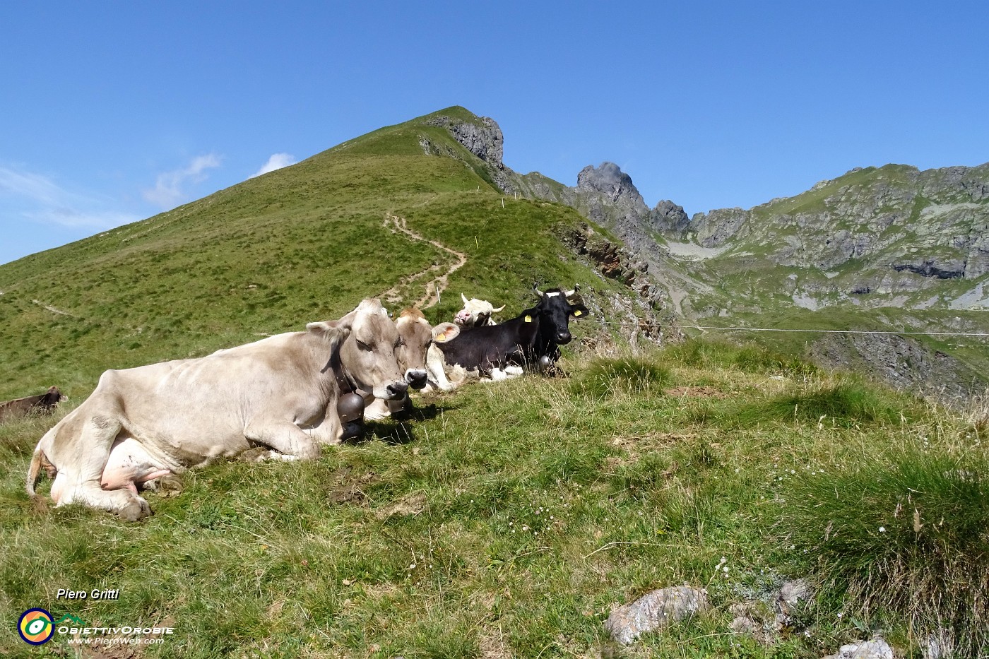 03 Buona salita, in alto a dx il Ponteranica centr. (2372 m),  accanto il Valletto (2371) e il Triomen (2345 m) .JPG -                                